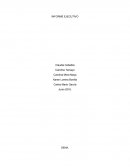 PESAMOS DE COLOMBIA SAS