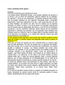 Osteología: Parte de la anatomía que estudia los huesos.