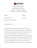 La Esquizofrenia.TENDENCIAS Y AUTORES PSICODINÁMICOS