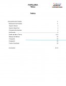 ANTECEDENTES DEL PROBLEMA ¨NO HAY ANTECEDENTES DEL PROBLEMA¨