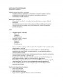 ANOMALIAS TRANSVERSALES