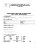 GUIA DE VALORACIÓN POR PATRONES FUNCIONALES DE SALUD