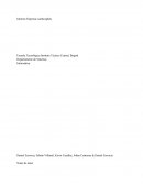 Informe Empresa Lamborghini