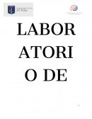 Informe de las enzimas