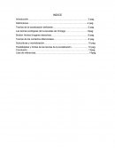 Teorias de la socializacion