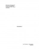 Bussines automatization.