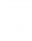 CAPITULO I MARCO CONCEPTUAL. VIOLENCIA INTRAFAMILIAR.