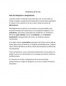 Anatomia de la raiz Zona de elongacion o alargamiento