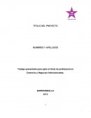 Trabajo presentado para optar el título de profesional en Comercio y Negocios Internacionales,