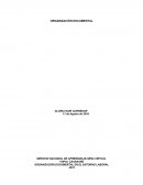 LA ORGANIZACIÓN DOCUMENTAL EN EL ENTORNO LABORAL.