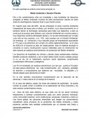 En este reportaje se enfoca como tema principal, el Medio Ambiente o Nuestro Planeta