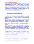 ¿Que es la ética de las organizaciones?