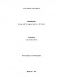 Primera entrega proyecto integrador.