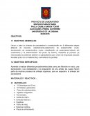 Preparacion de acetaminofem