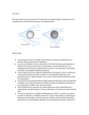 Fluidos Para este análisis se busca el arrastre en la superficie de una pelota de golf y compararlo contra una pelota de las mismas dimensiones pero con superficie plana.