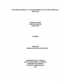 REACCIONES QUIMICAS Y ACTIVIDAD ENZIMATICA EN TEJIDOS ANIMALES Y VEGETALES.