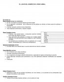 El lugar del hombre en el reino animal.