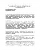 IDENTIFICACION DE GRUPOS FUNCIONALES ORGANICOS GRUPO 7