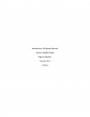 Higiene industrial control 1.