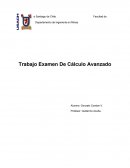 Ejercicios calculo avanzado.
