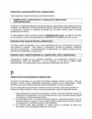 ETAPAS EN LA REALIZACIÓN DE UN LABORATORIO