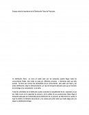 Ensayo sobre la Importancia de la Distribución Física de Productos..
