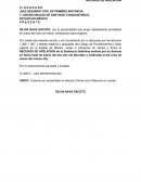 Apelacion terceria excluyente de dominio.