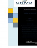 PLAN DE NEGOCIOS . LLUVIA DE IDEAS