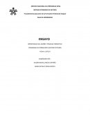 IMPORTANCIA DEL DISEÑO Y PROCESO FORMATIVO