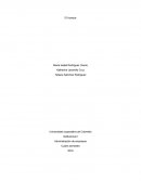 Informe institucional.