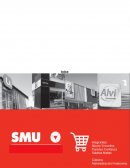 Analis de ratios SMU 2015