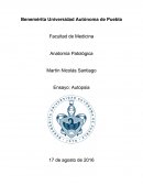 Autopsia.Anatomía Patológica