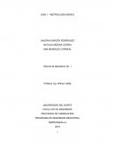 PROGRAMA DE INGENIERÍA INDUSTRIAL