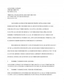 Demanda amparo directo.