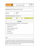 Modelo de informe final.