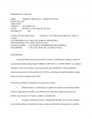 Memoria de calculo parrilla.