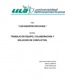 TRABAJO EN EQUIPO, COLABORACION Y SOLUCION DE CONFLICTOS.
