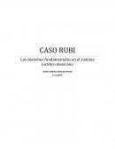 Los derechos fundamentales en el sistema jurídico mexicano.