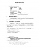 Modelo Informe Diagnostico