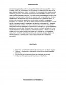 Informe biologia fermentacion