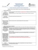 Formato de preescritura y planeación: elaboración del plan del texto.