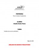 ANÁLISIS DE ANUNCIO PUBLICITARIO.