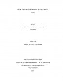 LEGALIZACION DE LAS DROGAS ¿BUENA O MALA?