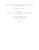 COLEGIO DE ESTUDIOS CIENTÍFICOS Y TECNOLÓGICOS DEL ESTADO DE MÉXICO (CECYTEM C.I).