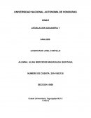 Legislacion aduanera Analisis