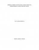 TEMA- MODELOS DE CALIDAD.