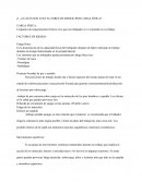 ¿Cuáles son los factores de riesgo por carga física?