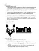 SUAVITEK Definición de la empresa