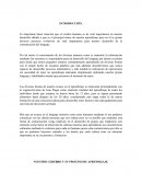 ENSAYO NUESTRO CEREBRO Y SUS PROCESOS DE APRENDIZAJE