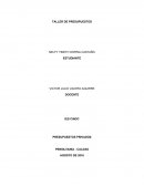 TALLER DE PRESUPUESTOS CAPITULO 1